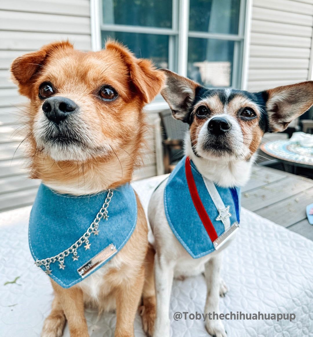 The “Party in the USA” dog bandana