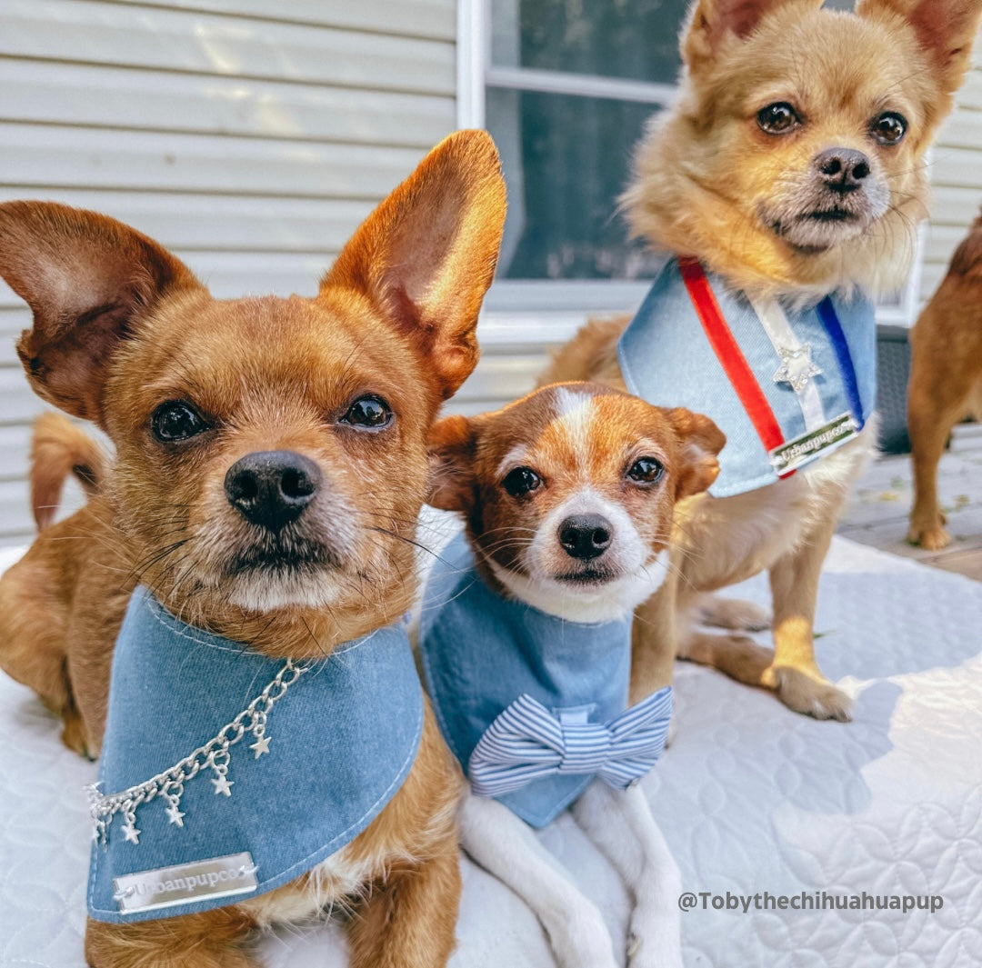 The “Party in the USA” dog bandana