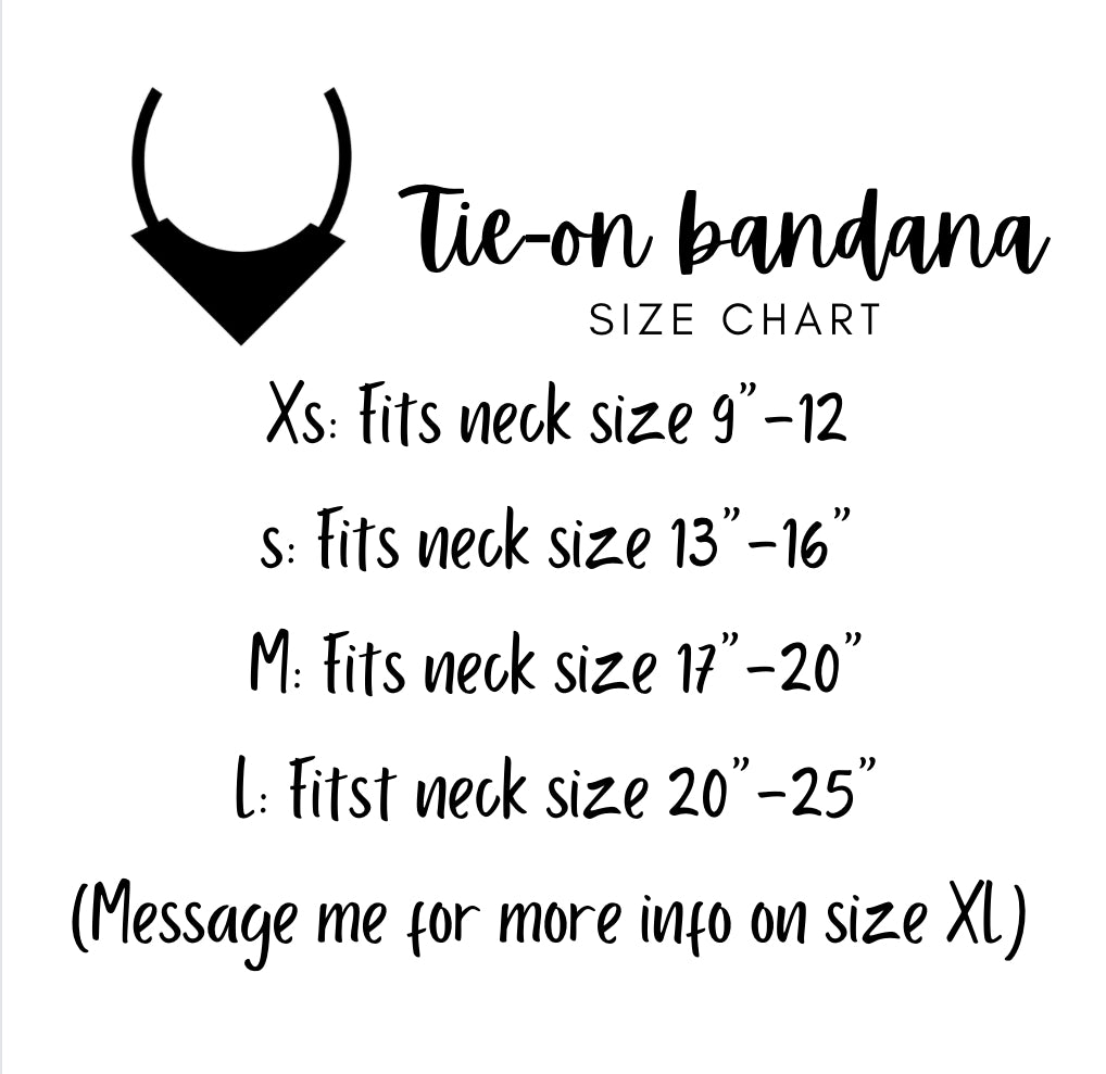 The “spooky” Halloween pet bandana