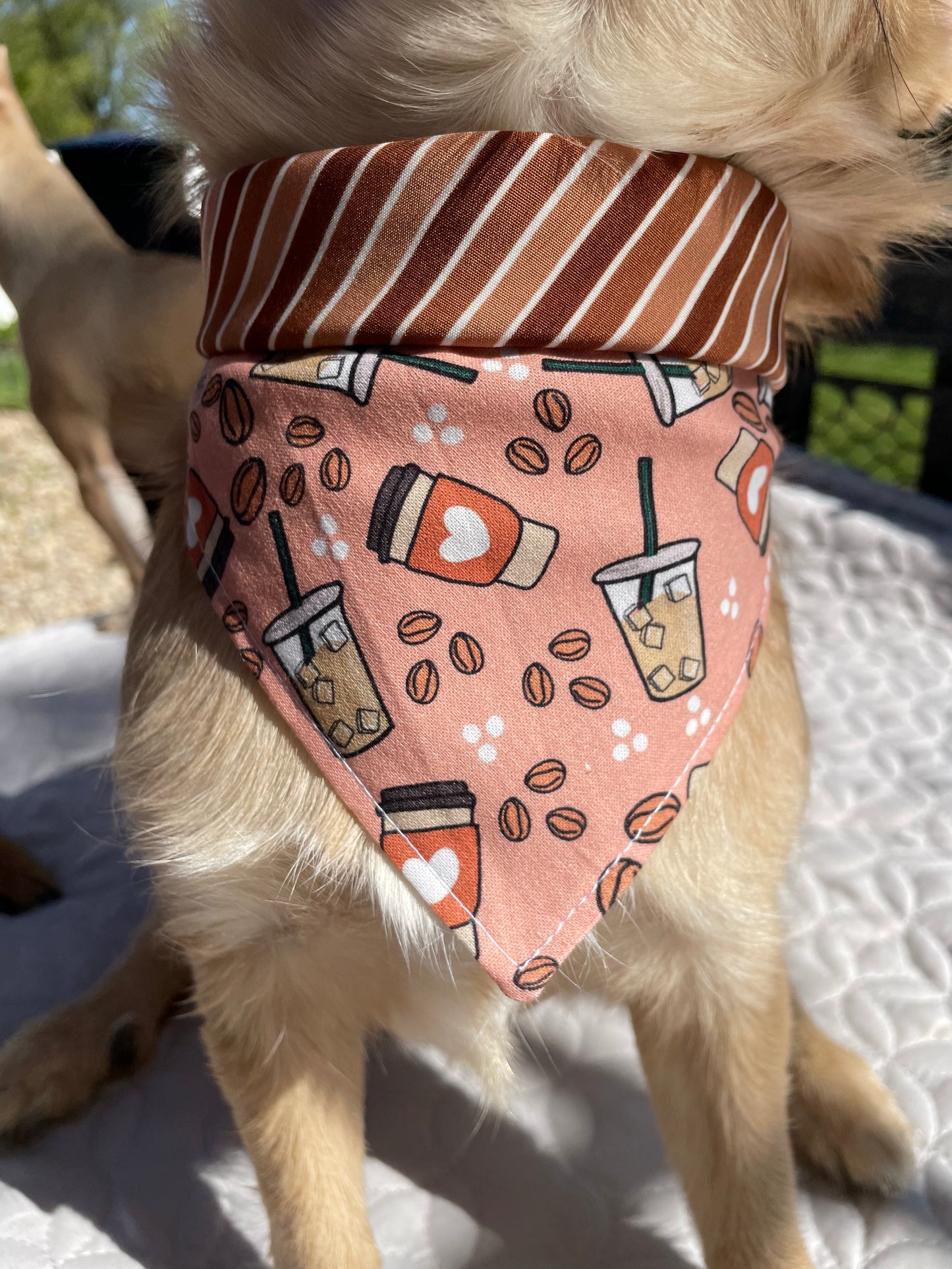 The “Iced coffee lover” bandana